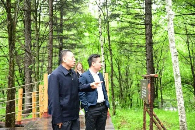 凯发k8一触即发ŸϺںַ죬ƼܳɽɫĻҵչ